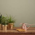 Do indoor plants help with mild depression and anxiety